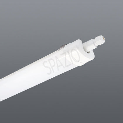 Fluorescent Lights