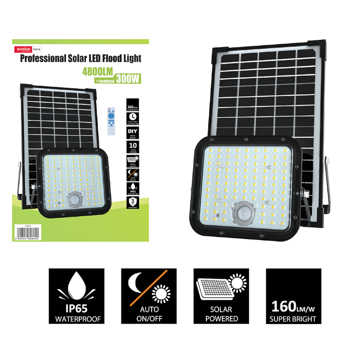 Eurolux FS313 Solar 30W LED 6000K Floodlight with Sensor - Black