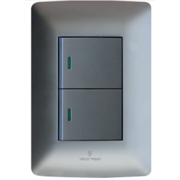 Hello Today 2 Lever Light Switch 2x4 S1-102/1 | Wynberg Lights